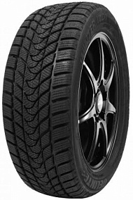 Delinte Winter WD1 245/45 R19 98S